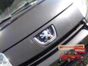 Kühlergrill Peugeot Expert II Kasten VF