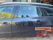 Tür links hinten Peugeot 508 I SW 8E