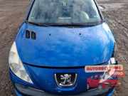 Motorhaube Peugeot 206+ T3E