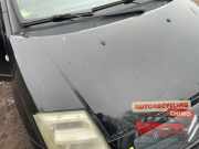 Motorhaube Citroen C2