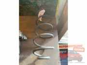 Feder hinten Citroen C3 II SC