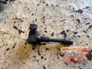 Zündspule Renault Vel Satis BJ 224488J115