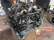 Motor ohne Anbauteile (Diesel) Ford Transit Connect P*2