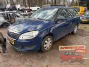 Türscheibe links vorne Skoda Fabia II Kombi 545