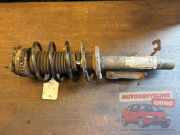 Federbein rechts vorne Ford Fiesta V JH, JD M2361