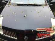 Motorhaube Renault Vel Satis BJ