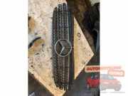 Kühlergrill Mercedes-Benz Vito/Mixto Kasten W639 A6398800185