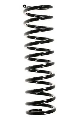 Fahrwerksfeder Hinterachse SPIDAN 48023