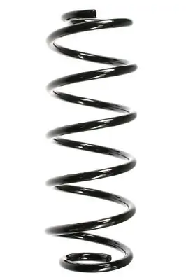 Fahrwerksfeder Vorderachse SPIDAN 48472