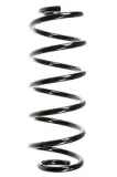 Fahrwerksfeder Vorderachse SPIDAN 48472