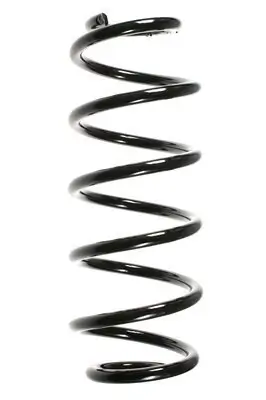 Fahrwerksfeder Vorderachse SPIDAN 48475