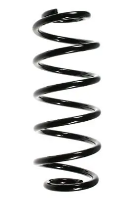 Fahrwerksfeder Vorderachse SPIDAN 48478 Bild Fahrwerksfeder Vorderachse SPIDAN 48478