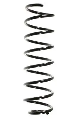 Fahrwerksfeder Hinterachse SPIDAN 48480