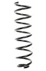 Fahrwerksfeder Hinterachse SPIDAN 48482