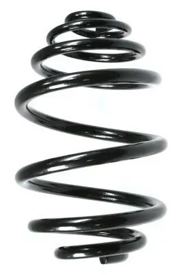 Fahrwerksfeder Hinterachse SPIDAN 48502