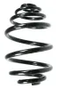 Fahrwerksfeder Hinterachse SPIDAN 48502