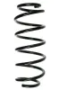 Fahrwerksfeder Vorderachse SPIDAN 48516