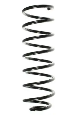 Fahrwerksfeder Hinterachse SPIDAN 48539 Bild Fahrwerksfeder Hinterachse SPIDAN 48539