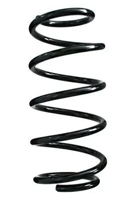 Fahrwerksfeder Vorderachse SPIDAN 48563