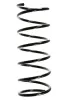 Fahrwerksfeder Vorderachse SPIDAN 48583