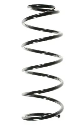 Fahrwerksfeder Vorderachse SPIDAN 48623