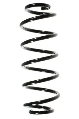 Fahrwerksfeder Hinterachse SPIDAN 48656