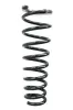 Fahrwerksfeder Vorderachse SPIDAN 48659
