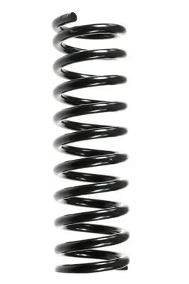 Fahrwerksfeder Hinterachse SPIDAN 48678