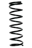Fahrwerksfeder Hinterachse SPIDAN 48697