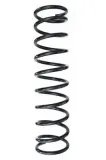 Fahrwerksfeder Hinterachse SPIDAN 48707