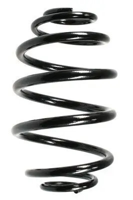 Fahrwerksfeder Hinterachse SPIDAN 48790