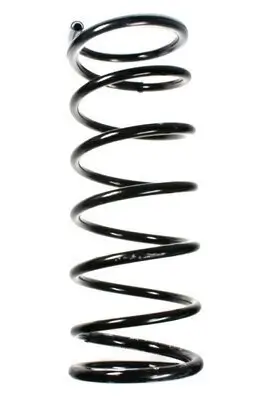 Fahrwerksfeder Hinterachse SPIDAN 48994