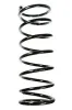 Fahrwerksfeder Hinterachse SPIDAN 48994