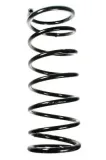 Fahrwerksfeder Hinterachse SPIDAN 48994