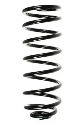 Fahrwerksfeder Hinterachse SPIDAN 49158
