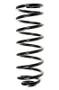 Fahrwerksfeder Hinterachse SPIDAN 49158