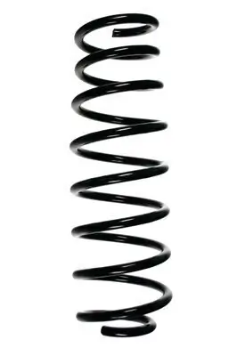 Fahrwerksfeder Hinterachse SPIDAN 49161