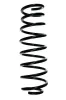 Fahrwerksfeder Hinterachse SPIDAN 49161