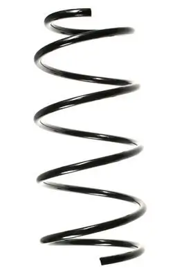 Fahrwerksfeder Vorderachse SPIDAN 49163