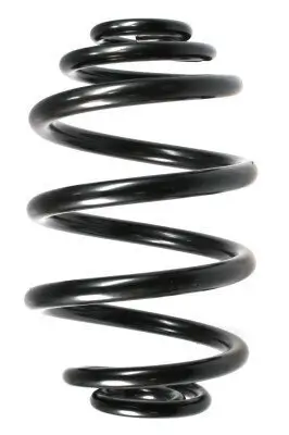 Fahrwerksfeder Hinterachse SPIDAN 49164 Bild Fahrwerksfeder Hinterachse SPIDAN 49164