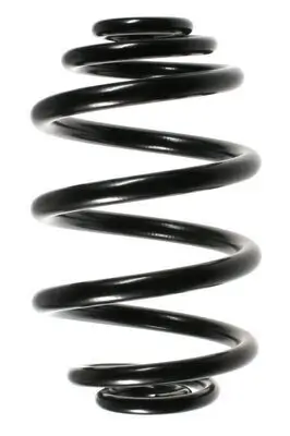 Fahrwerksfeder Hinterachse SPIDAN 49165