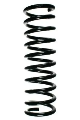 Fahrwerksfeder Hinterachse SPIDAN 49175 Bild Fahrwerksfeder Hinterachse SPIDAN 49175