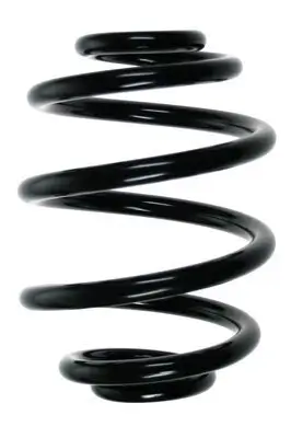 Fahrwerksfeder Hinterachse SPIDAN 49183