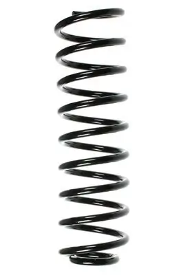 Fahrwerksfeder Hinterachse SPIDAN 49192
