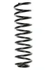 Fahrwerksfeder Hinterachse SPIDAN 49192