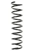 Fahrwerksfeder Hinterachse SPIDAN 49287
