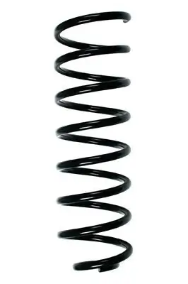 Fahrwerksfeder Hinterachse SPIDAN 49315