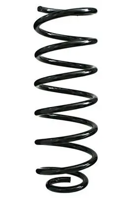 Fahrwerksfeder Hinterachse SPIDAN 49316