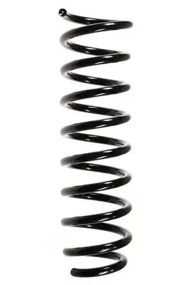 Fahrwerksfeder Hinterachse SPIDAN 49345 Bild Fahrwerksfeder Hinterachse SPIDAN 49345