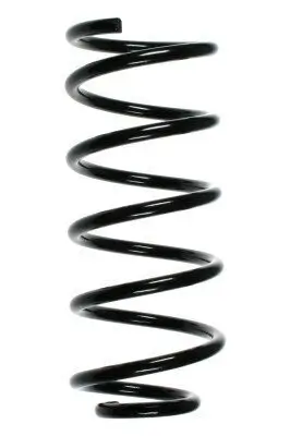 Fahrwerksfeder Hinterachse SPIDAN 49352